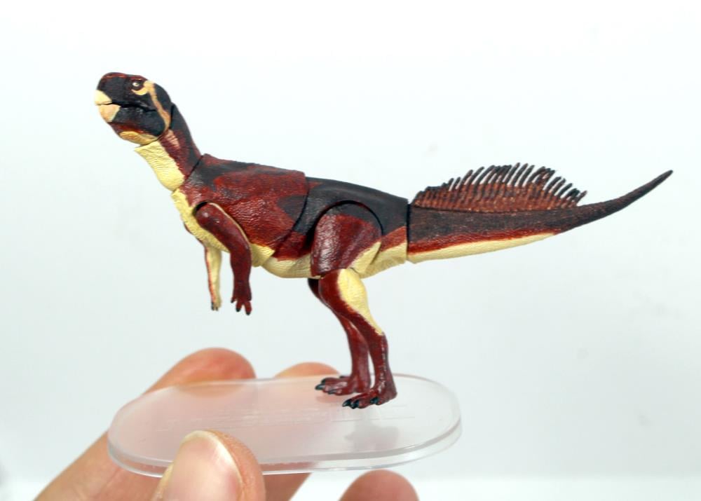 Beasts of the Mesozoic Psittacosaurus mongoliensis 1/18 Scale Figure Gallery Image 3