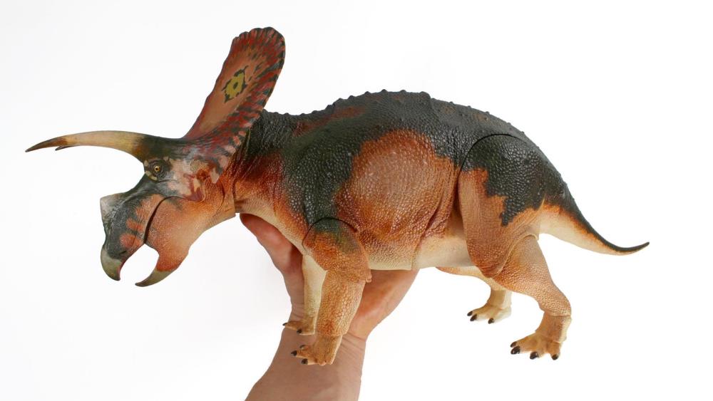 Beasts of the Mesozoic: Ceratopsian Series Torosaurus latus (Fan's Choice) 1/18 Scale Figure Gallery Image 8