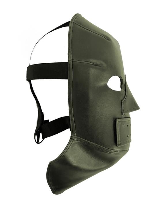 The Batman The Riddler Adult Mask Gallery Image 3