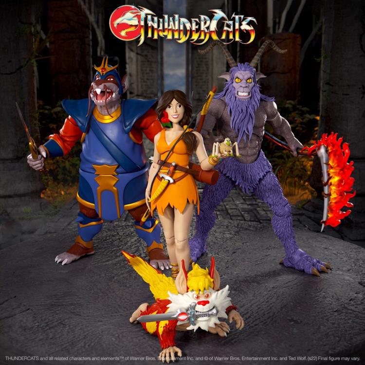 ThunderCats ULTIMATES! Willa Action Figure Gallery Image 7