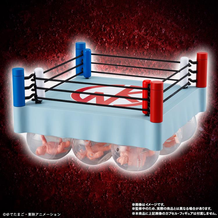 Kinnikuman Kinkeshi Official Set of 5 Wrestling Rings Set (With 4