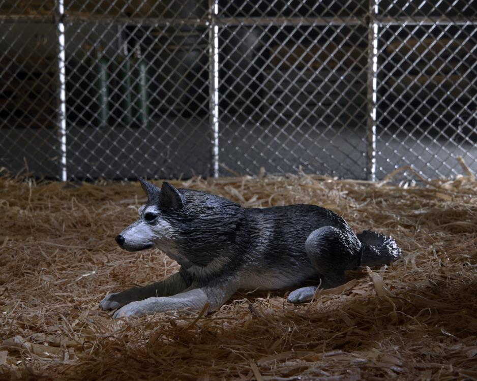 The Thing Ultimate Dog Creature Set Gallery Image 5