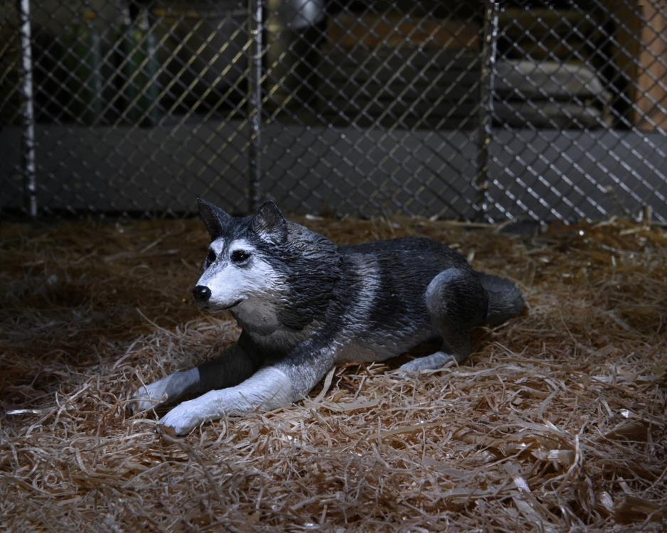 The Thing Ultimate Dog Creature Set Gallery Image 3