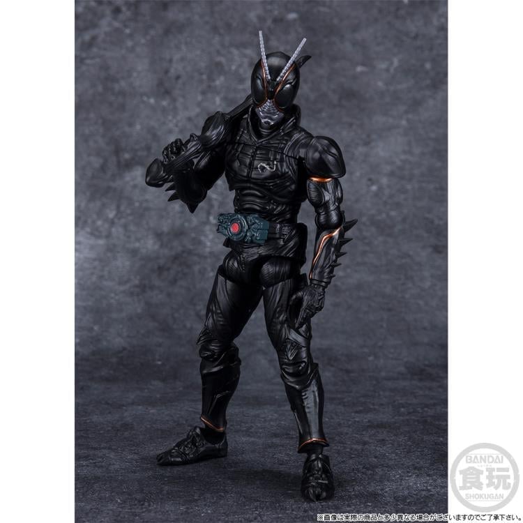 Kamen Rider Shodo-XX Blacksun & Battle Hopper Set Kamen Rider Shodo-XX Blacksun & Battle Hopper Set