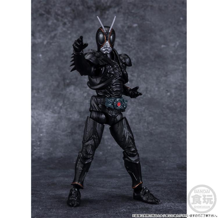 Kamen Rider Shodo-XX Blacksun & Battle Hopper Set Gallery Image 4