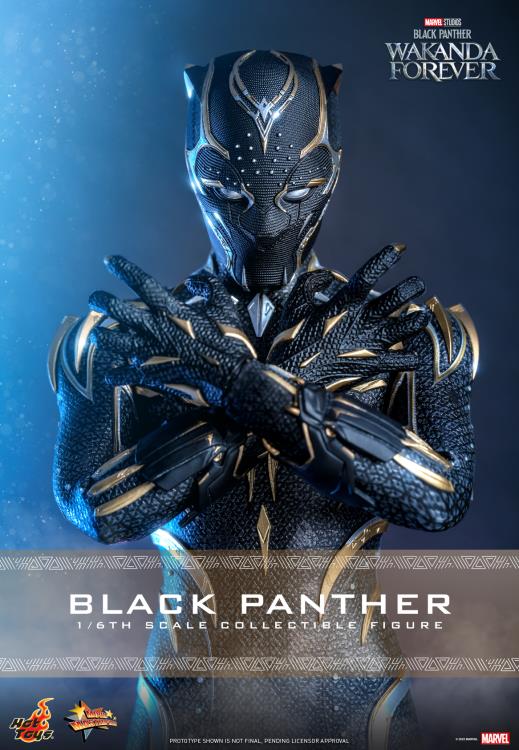 Black Panther: Wakanda Forever MMS675 Black Panther 1/6th Scale Collectible Figure Gallery Image 21