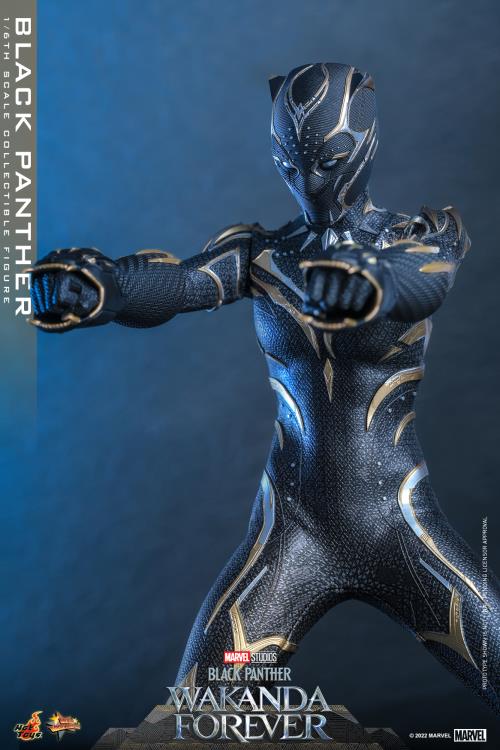 Black Panther: Wakanda Forever MMS675 Black Panther 1/6th Scale Collectible Figure Gallery Image 5