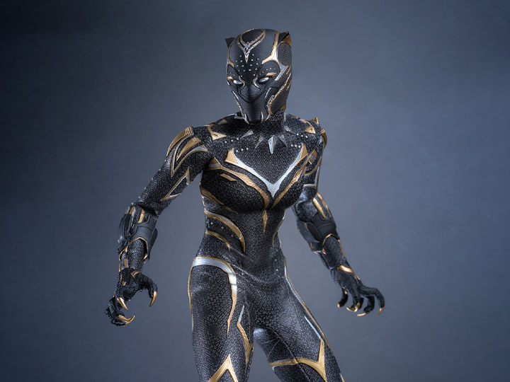 Black Panther: Wakanda Forever MMS675 Black Panther 1/6th Scale Collectible Figure Gallery Image 1
