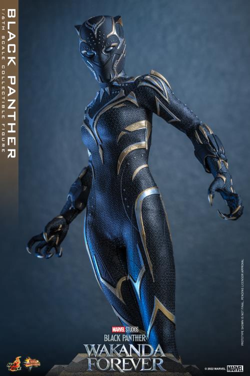Black Panther: Wakanda Forever MMS675 Black Panther 1/6th Scale Collectible Figure Gallery Image 12