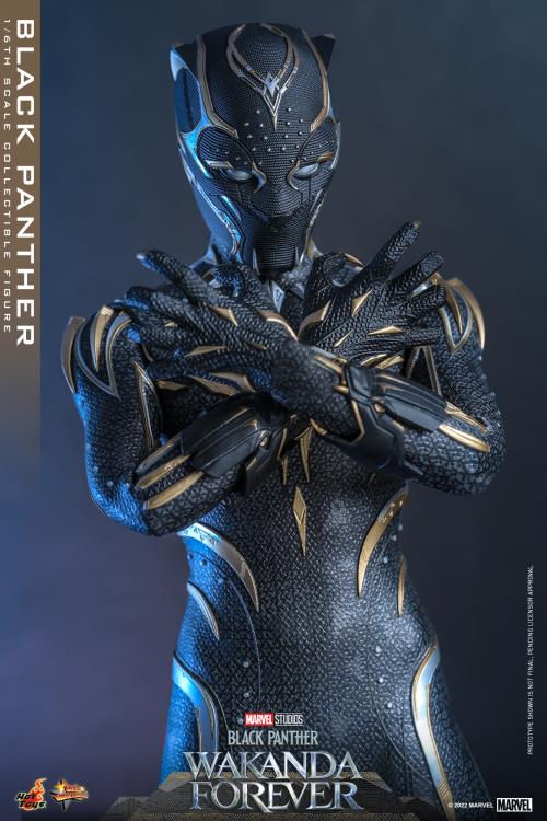 Black Panther: Wakanda Forever MMS675 Black Panther 1/6th Scale Collectible Figure Gallery Image 13