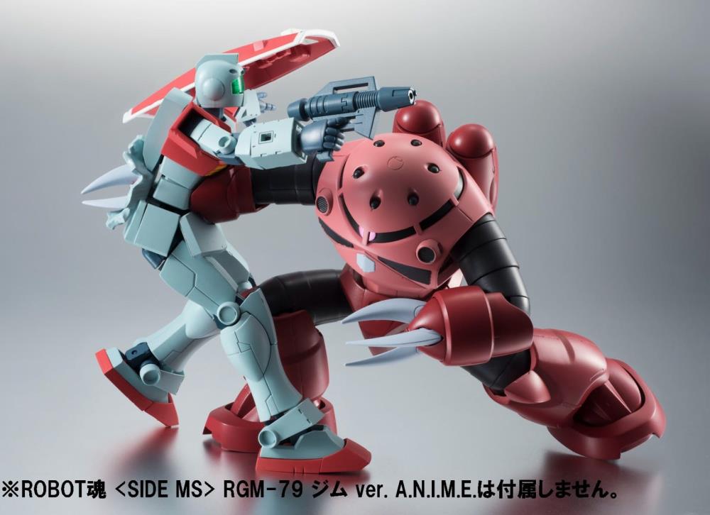 Gundam Robot Spirits MSM-07S Z'Gok Char's Custom Model (Ver. A.N.I.M.E.) (Reissue) Gallery Image 11