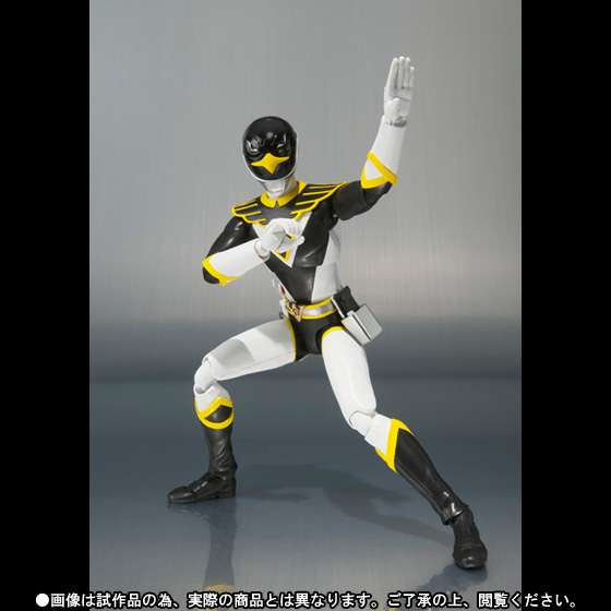 Power Rangers S.H.Figuarts Black Condor Exclusive Gallery Image 7