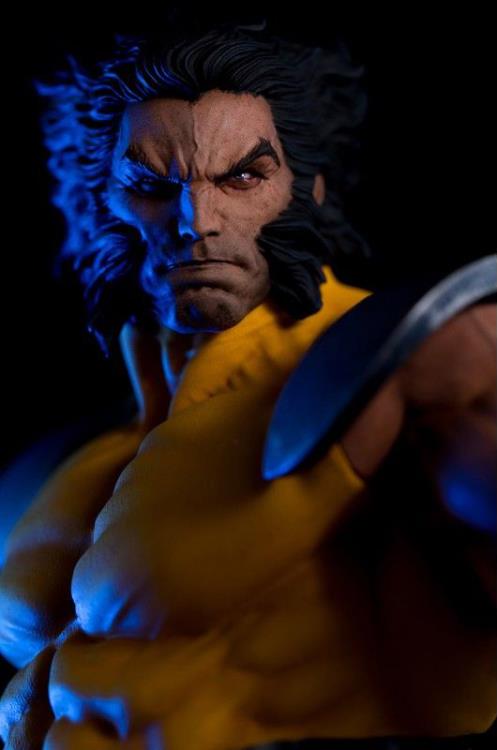 X-Men Wolverine 1/6 Scale Limited Edition Statue Gallery Image 24