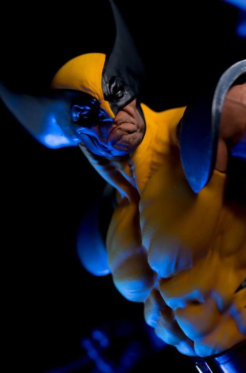 X-Men Wolverine 1/6 Scale Limited Edition Statue Gallery Image 19