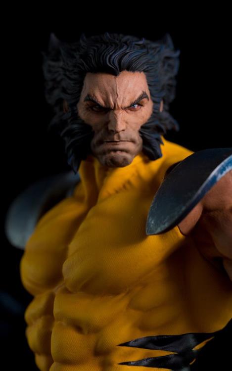 X-Men Wolverine 1/6 Scale Limited Edition Statue Gallery Image 22