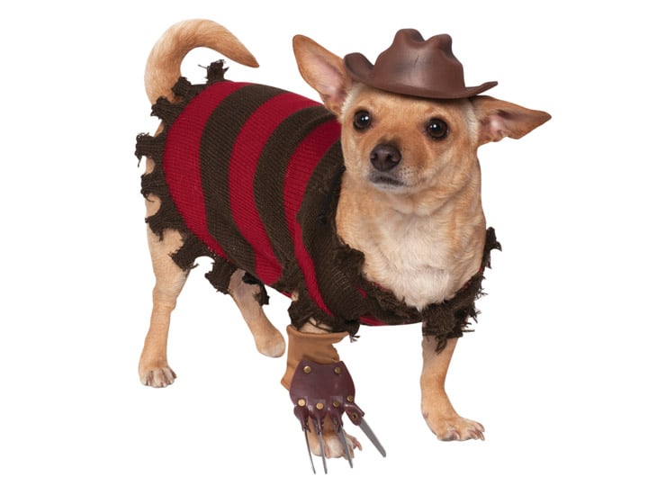 A Nightmare on Elm Street Freddy Krueger Pet Costume Gallery Image 1