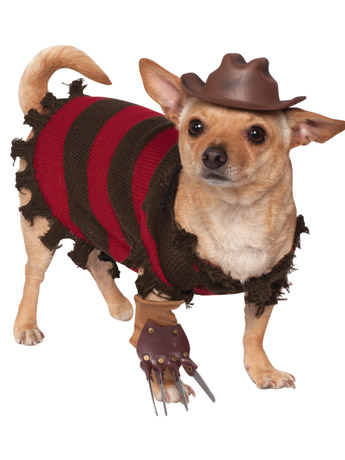 A Nightmare on Elm Street Freddy Krueger Pet Costume Gallery Image 2