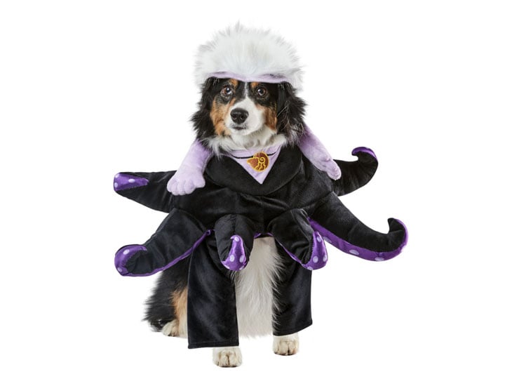The Little Mermaid Ursula Pet Costume Gallery Image 1