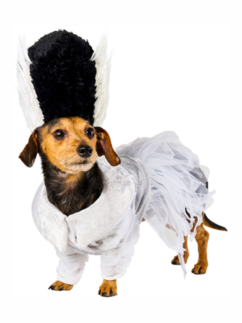 Universal Monsters Bride of Frankenstein Pet Costume Gallery Image 2