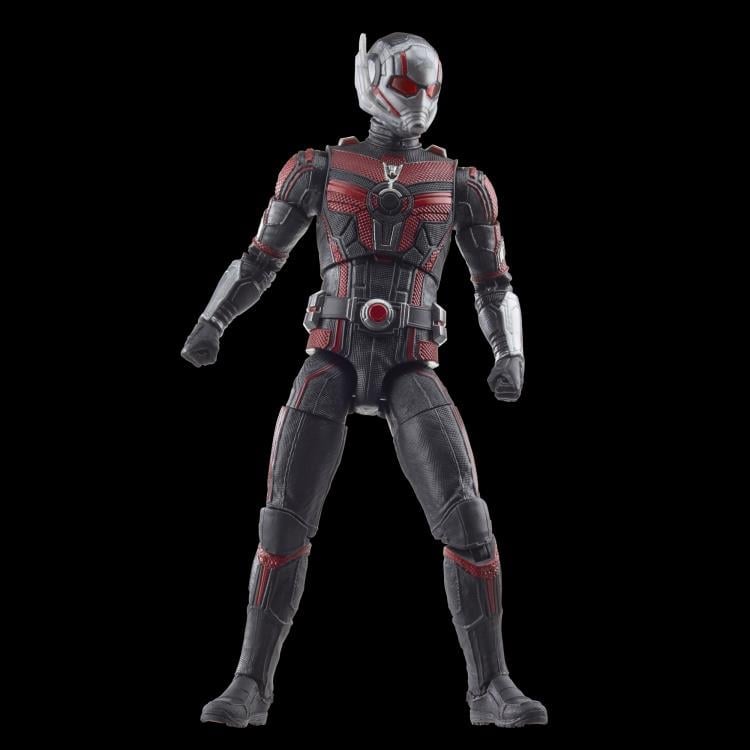 Ant-Man & The Wasp: Quantumania Marvel Legends Ant-Man Action Figure (Cassie Lang BAF) Gallery Image 4