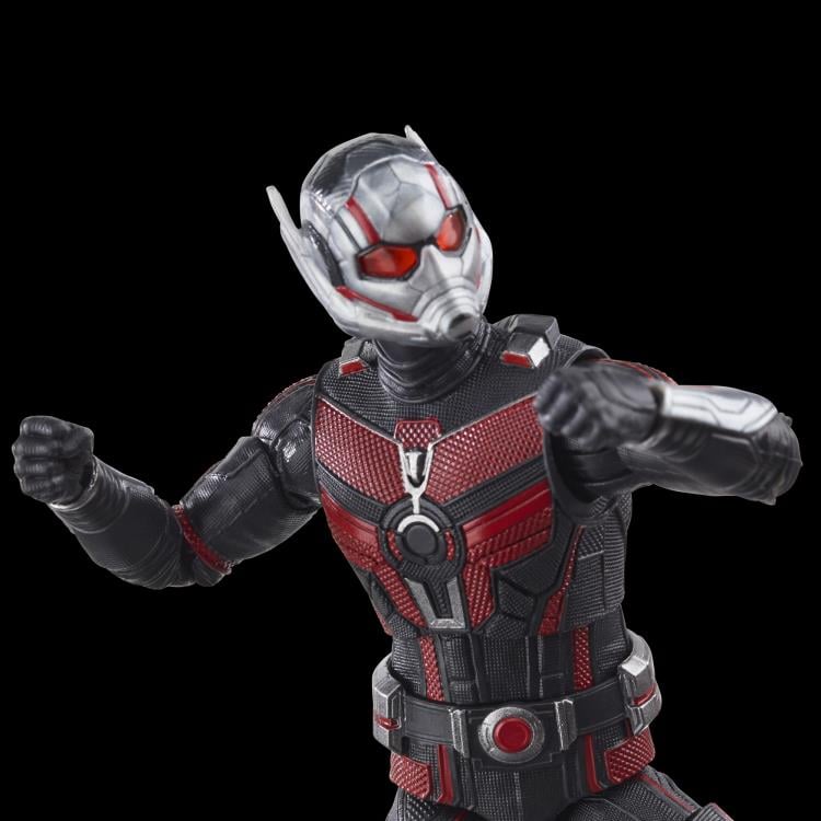 Ant-Man & The Wasp: Quantumania Marvel Legends Ant-Man Action Figure (Cassie Lang BAF) Gallery Image 9