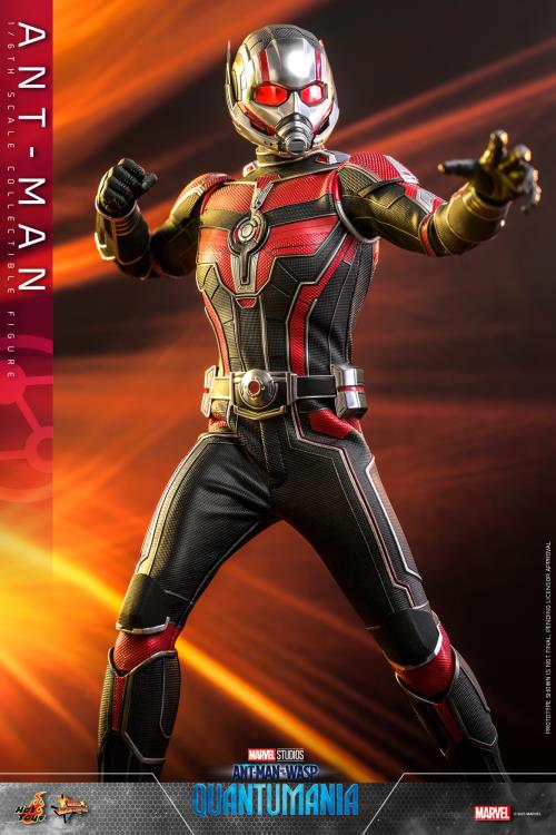 Ant-Man and The Wasp: Quantumania MMS690 Ant-Man 1/6th Scale Collectible Figure Gallery Image 14