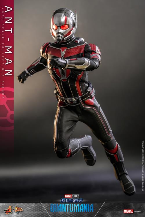 Ant-Man and The Wasp: Quantumania MMS690 Ant-Man 1/6th Scale Collectible Figure Gallery Image 10