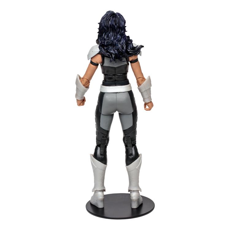 Titans DC Multiverse Donna Troy Action Figure (Collect to Build: Beast Boy) Gallery Image 6