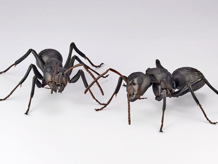 Revoltech RevoGeo RG009 Camponotus japonicus (Japanese Carpenter Ants) Gallery Image 1