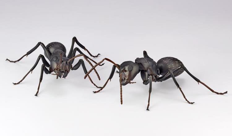 Revoltech RevoGeo RG009 Camponotus japonicus (Japanese Carpenter Ants) Gallery Image 3