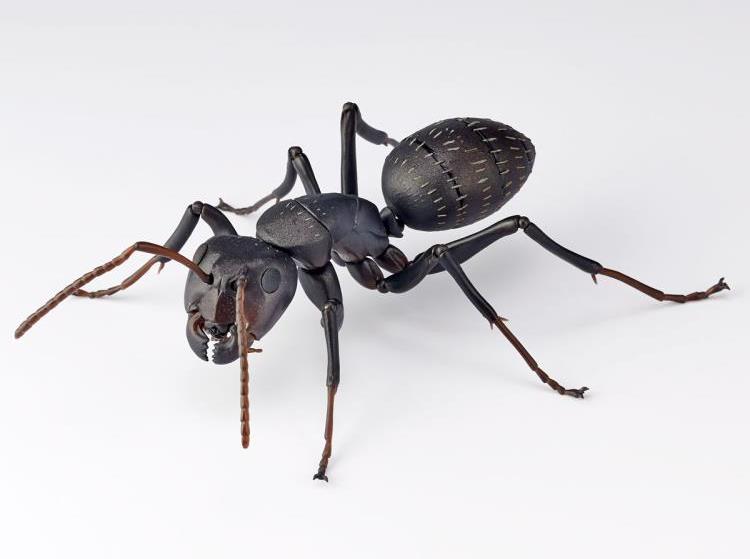 Revoltech RevoGeo RG009 Camponotus japonicus (Japanese Carpenter Ants) Gallery Image 6