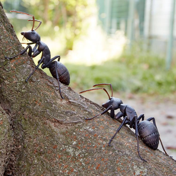 Revoltech RevoGeo RG009 Camponotus japonicus (Japanese Carpenter Ants) Gallery Image 13