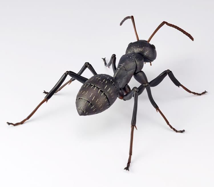 Revoltech RevoGeo RG009 Camponotus japonicus (Japanese Carpenter Ants) Gallery Image 7