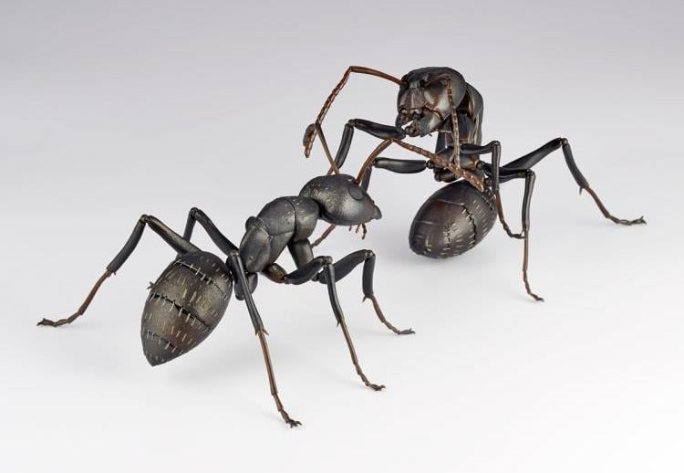 Revoltech RevoGeo RG009 Camponotus japonicus (Japanese Carpenter Ants) Gallery Image 4