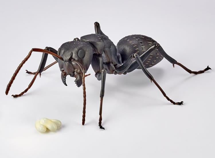 Revoltech RevoGeo RG009 Camponotus japonicus (Japanese Carpenter Ants) Gallery Image 11