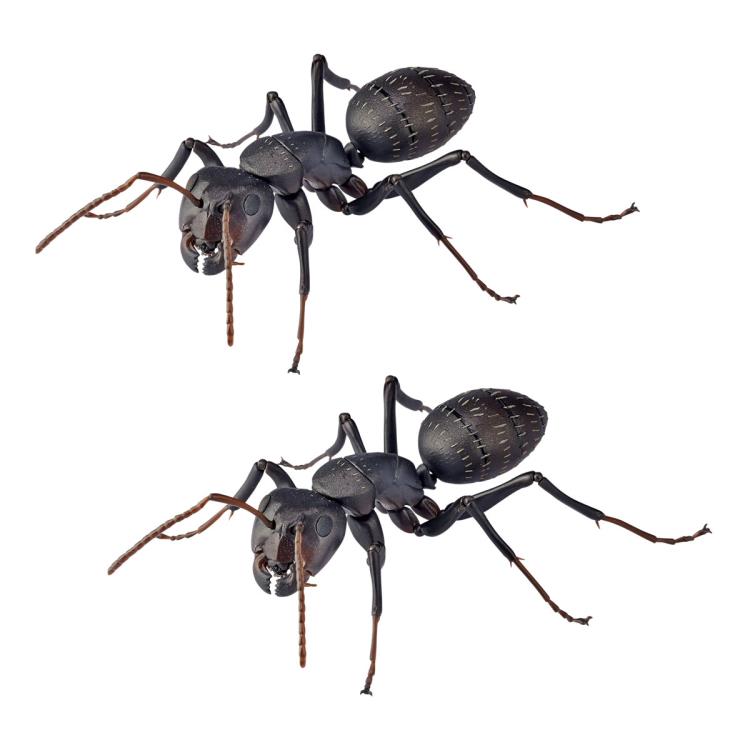 Revoltech RevoGeo RG009 Camponotus japonicus (Japanese Carpenter Ants) Gallery Image 5