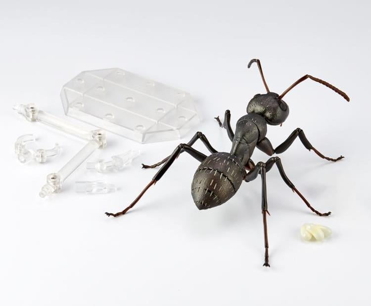 Revoltech RevoGeo RG009 Camponotus japonicus (Japanese Carpenter Ants) Gallery Image 15