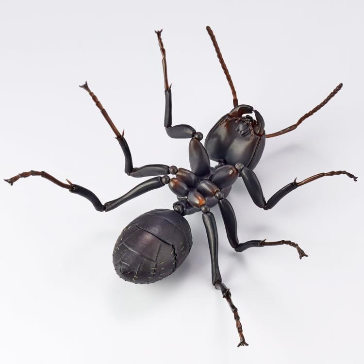 Revoltech RevoGeo RG009 Camponotus japonicus (Japanese Carpenter Ants) Gallery Image 9