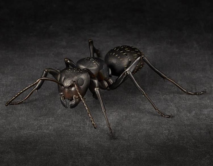 Revoltech RevoGeo RG009 Camponotus japonicus (Japanese Carpenter Ants) Gallery Image 12