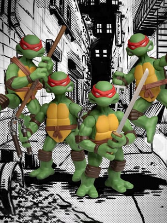 Teenage Mutant Ninja Turtles 5 Points Plus Boxed Set