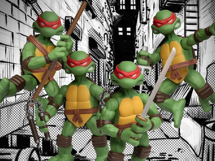 にったじゅん12冊＋他5冊 まとめセット Teenage Mutant Ninja Turtles 5 Points Plus Boxed Set
