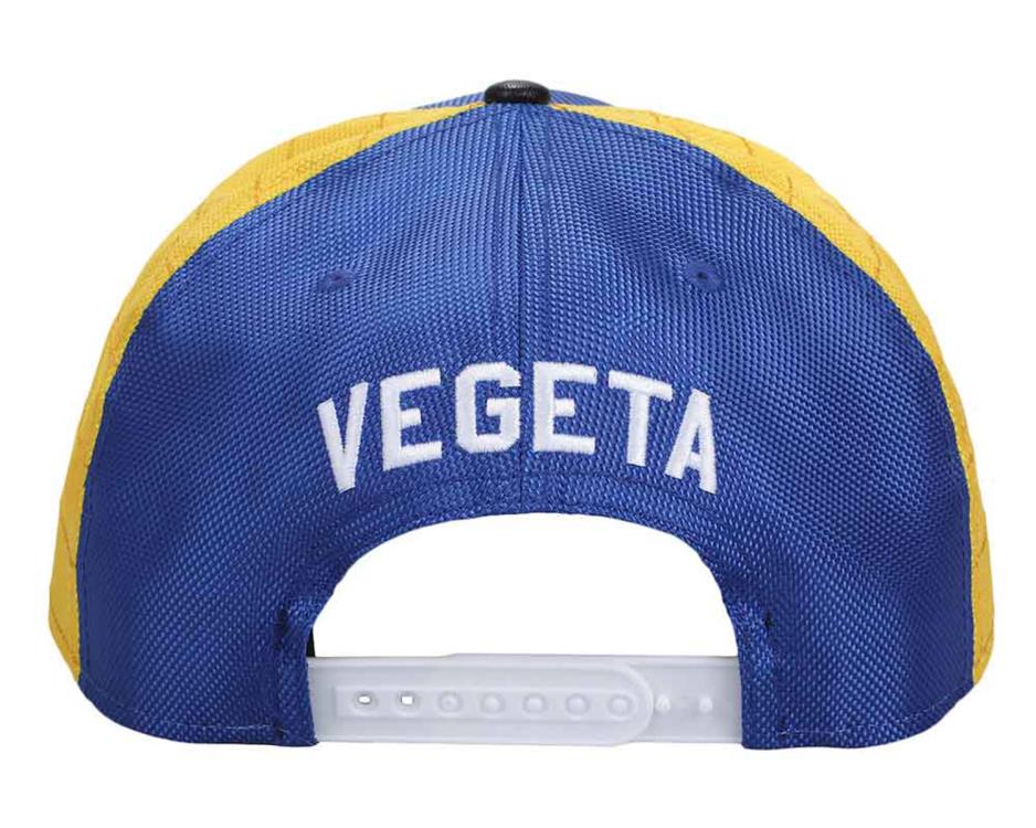 Dragon Ball Z Vegeta Saiyan Metal Icon Pre-Curved Snapback Hat Gallery Image 5