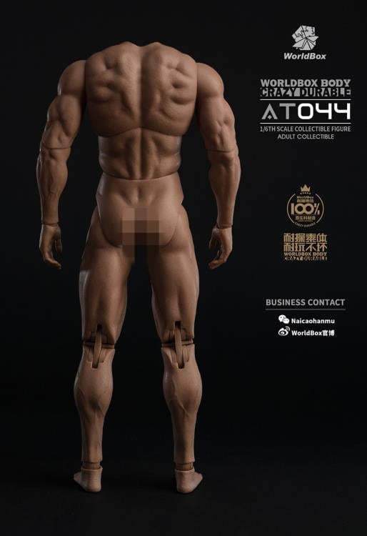 Universal Crazy Durable Big Muscle 1/6 Scale Body (AT044) Gallery Image 5