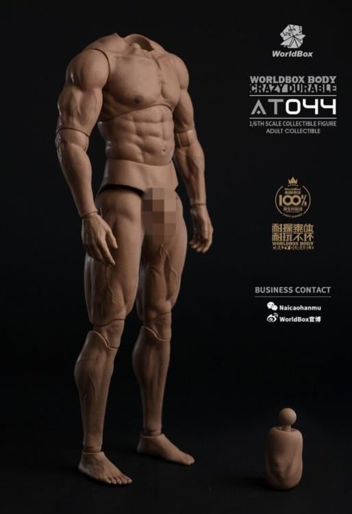 Universal Crazy Durable Big Muscle 1/6 Scale Body (AT044) Gallery Image 4