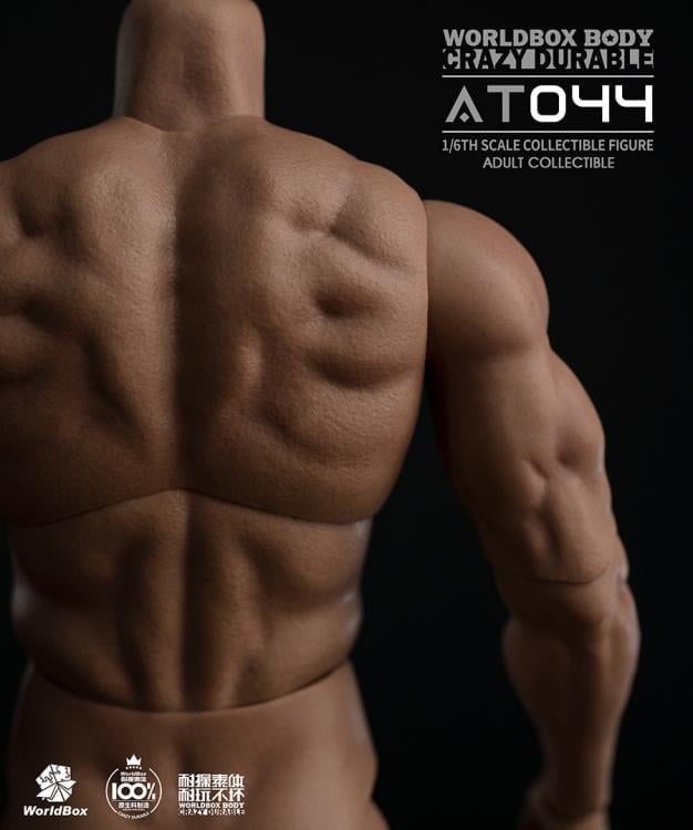 Universal Crazy Durable Big Muscle 1/6 Scale Body (AT044)