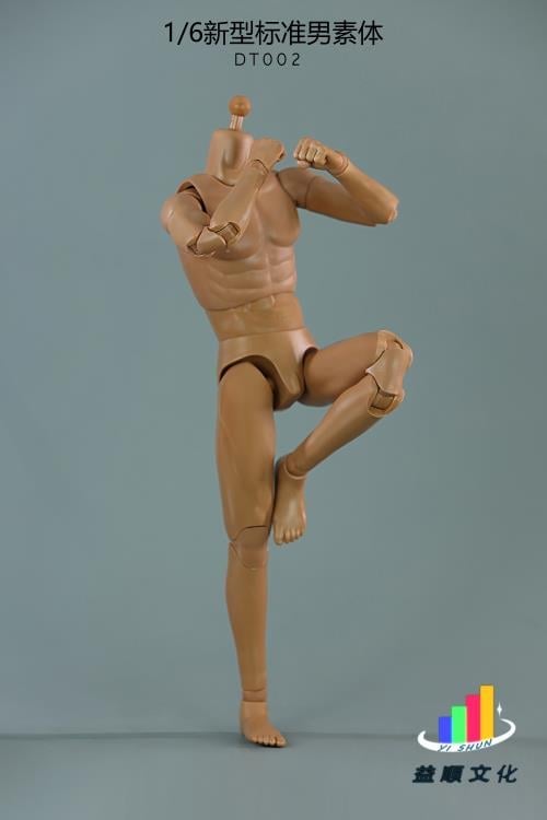 New Type Standard DT002 Male Body 1/6 Scale Figure Gallery Image 5