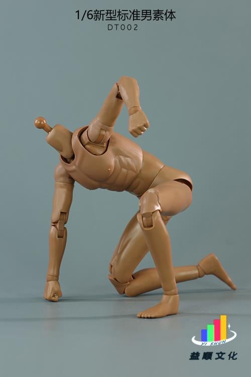 New Type Standard DT002 Male Body 1/6 Scale Figure Gallery Image 4