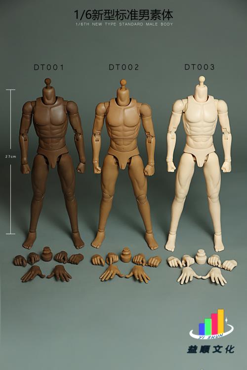 New Type Standard DT002 Male Body 1/6 Scale Figure Gallery Image 11