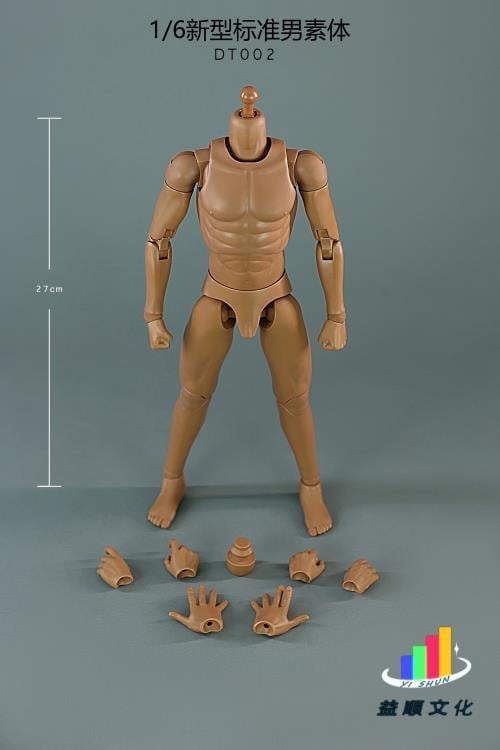 New Type Standard DT002 Male Body 1/6 Scale Figure Gallery Image 10