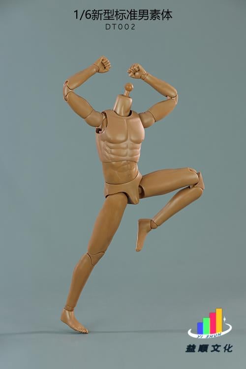 New Type Standard DT002 Male Body 1/6 Scale Figure Gallery Image 8